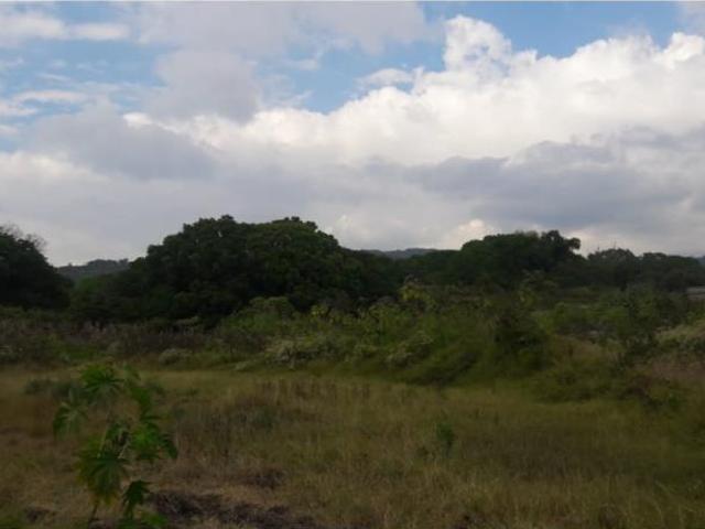 Terreno en venta en El Remate, Comala, Colima