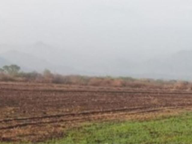 Terreno en venta en El Trapiche, Cuauhtémoc, Colima