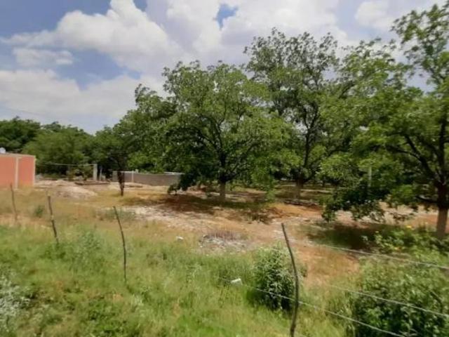 Terreno en Venta en El Vergel, Parras, Coahuila de Zaragoza