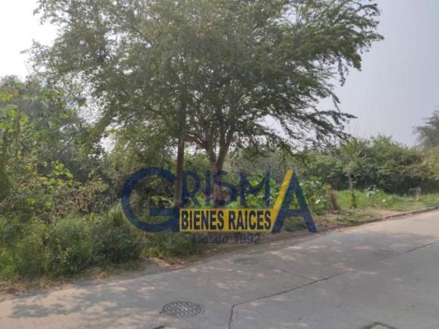 TERRENO EN VENTA EN EN COLONIA LAS PALMAS