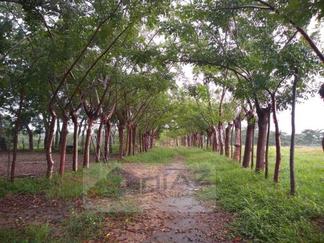 Terreno en venta en Enrique Rodriguez Cano, Huimanguillo, Tabasco