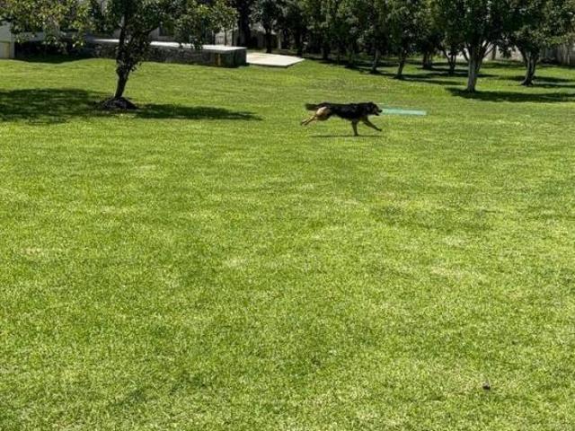 Terreno en VENTA EN ESQUINA