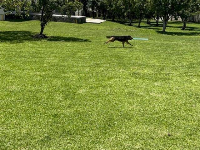 Terreno en VENTA EN ESQUINA