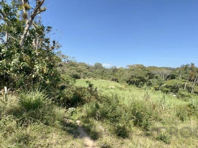 Terreno en venta en Estanzuela Ver