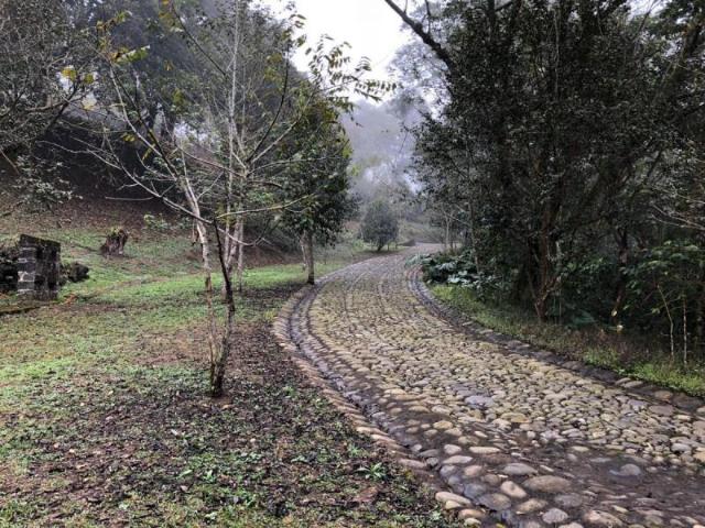 Terreno en venta en Francisco Javier Mina, Coatepec, Veracruz de Ignacio de la Llave