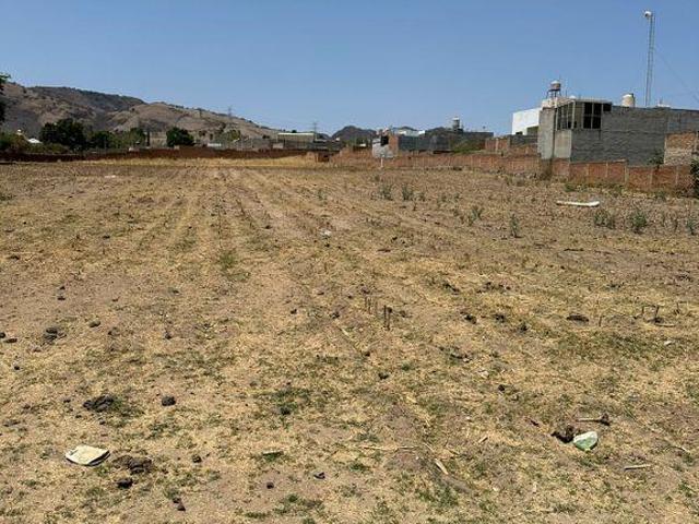 terreno en venta en Frac. Doctores Tesist?n