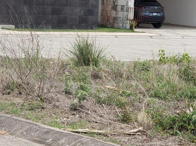 Terreno en venta en Frac. Real Mandinga