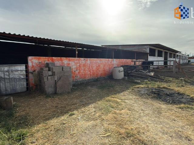Terreno en Venta en Fracc. Ma. Luisa Durango