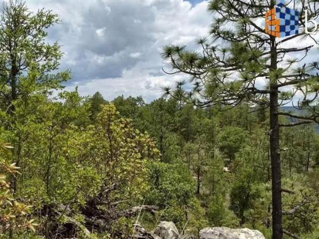 Terreno en Venta en Fracc. Bosques de Montesión Durango