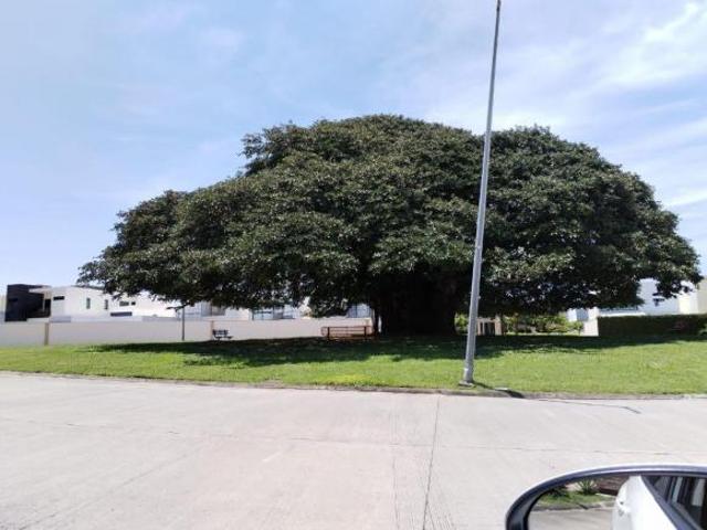 Terreno en venta en Fracc. Lomas de la Rioja. ALVARADO, VERACRUZ