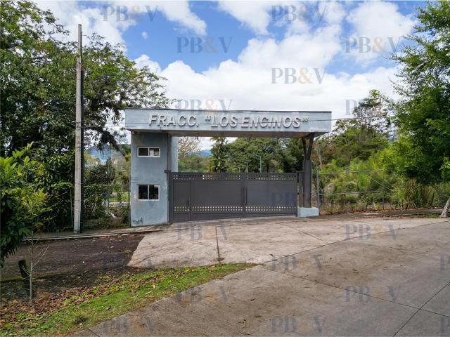 Terreno en Venta en Fracc. Los Encinos, Carretera Xalapa Coatepec