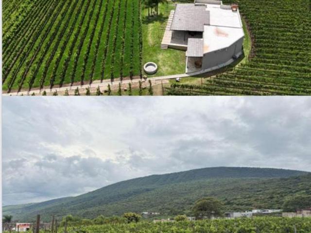 Terreno en Venta en Fraccionamiento Azul del Lago, Jocotepec