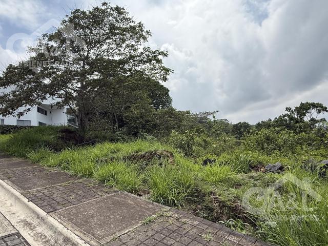 Terreno en Venta en Fraccionamiento Bosque de Niebla