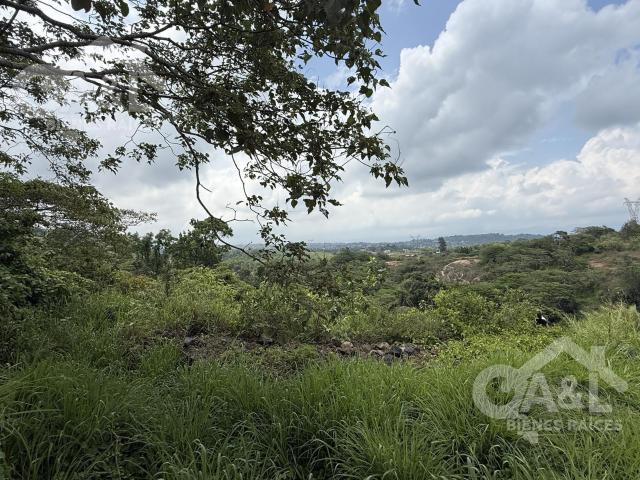 Terreno en Venta en Fraccionamiento Bosque de Niebla