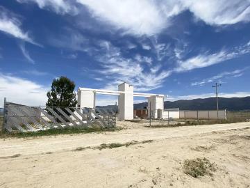Terreno en VENTA en Fraccionamiento Campestre Las Calandrias