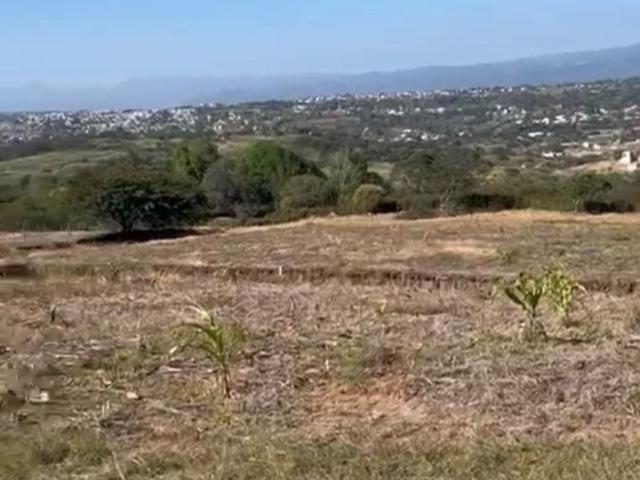 Terreno en Venta en Fraccionamiento Diamante Animas