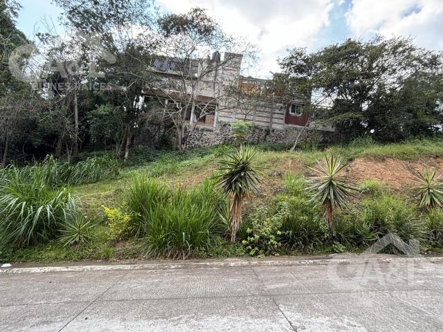 Terreno en Venta en Fraccionamiento El Vergel Animas