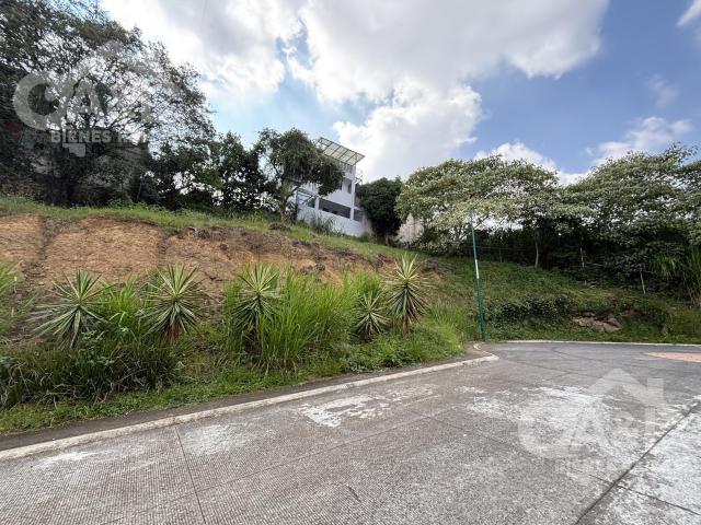 Terreno en Venta en Fraccionamiento El Vergel Animas