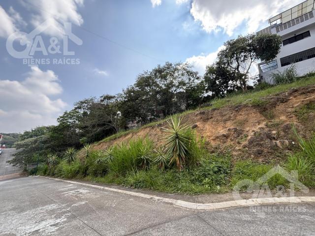 Terreno en Venta en Fraccionamiento El Vergel Animas