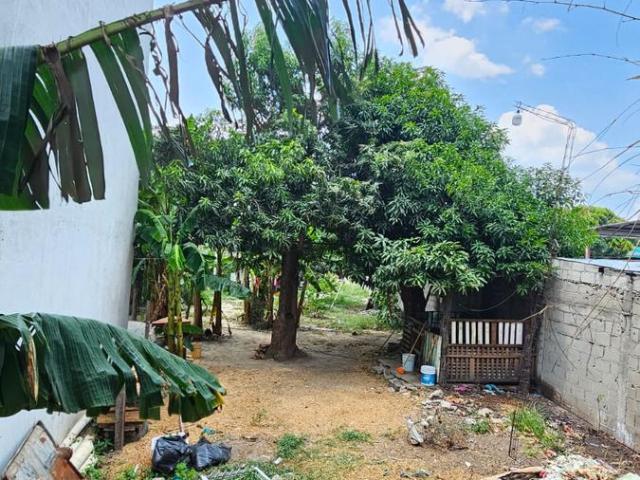 Terreno en venta en Fraccionamiento Flores Del Tr?pico
