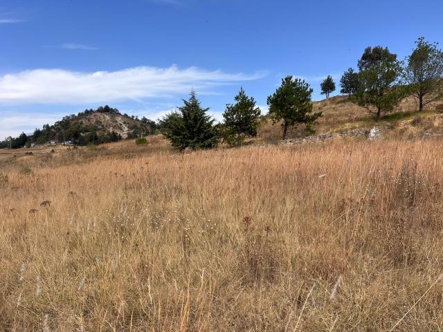 Terreno en Venta en Fraccionamiento la Purísima, Ixtlahuaca