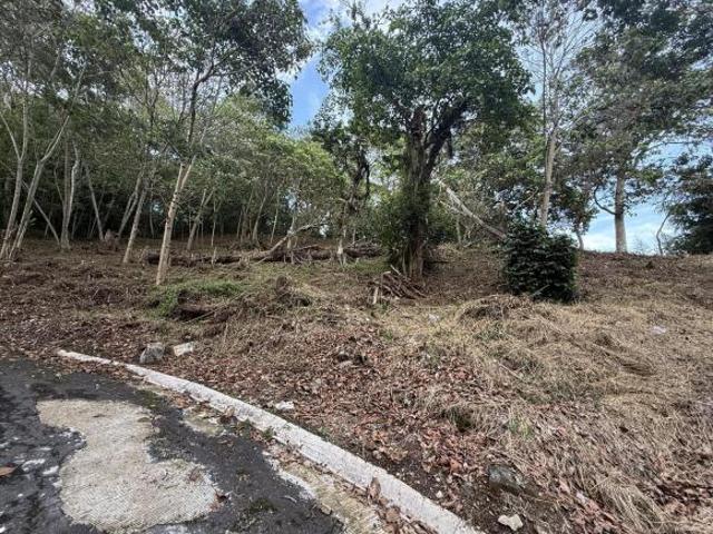 Terreno en Venta en Fraccionamiento Las Arboledas Cañada