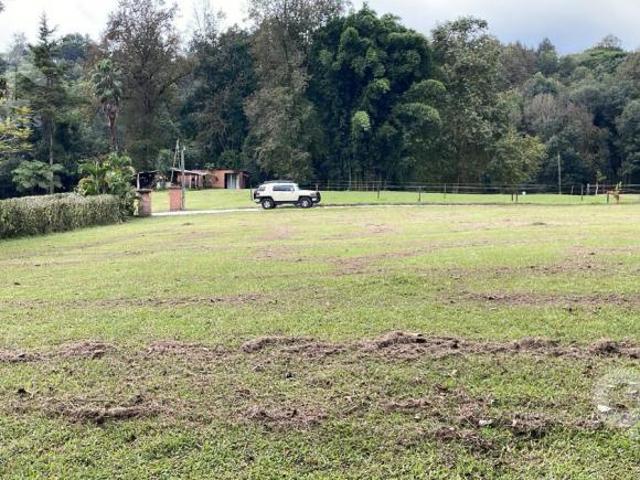 Terreno en Venta en Fraccionamiento Los Toriles