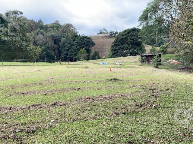 Terreno en Venta en Fraccionamiento Los Toriles