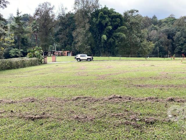 Terreno en Venta en Fraccionamiento Los Toriles