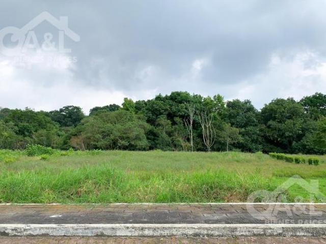 Terreno en Venta en Fraccionamiento Nuevo Coapexpan