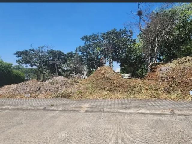 TERRENO EN VENTA EN FRACCIONAMIENTO PASEO DE LA REINA Zona Monte Magno