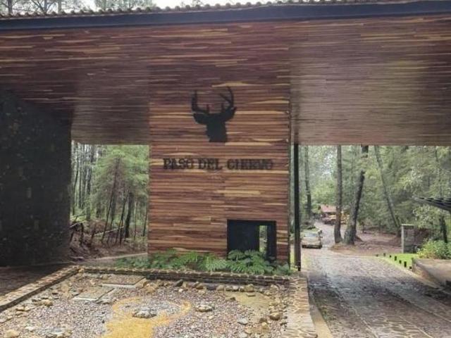 Terreno en Venta en Fraccionamiento Paso del Ciervo, Mazamitla, Jalisco