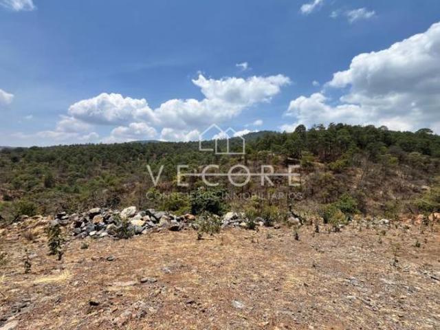 TERRENO EN VENTA EN FRACCIONAMIENTO PRIVADO EN MAZAMITLA, JALISCO