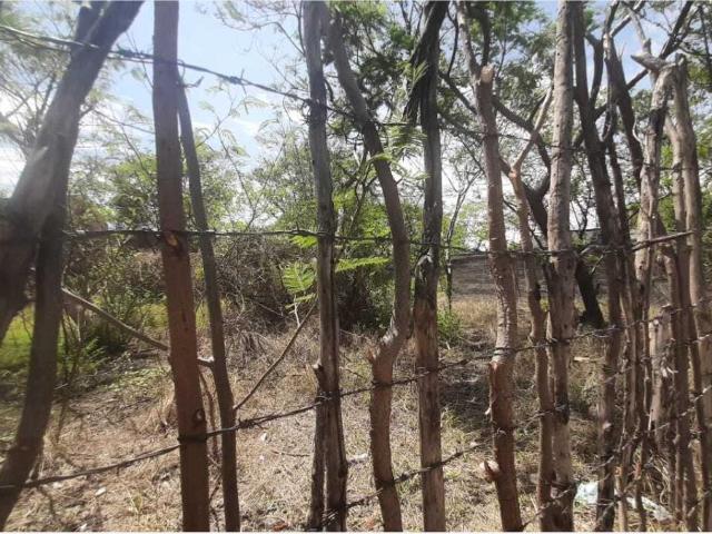Terreno en venta en Gabriel Tepepa, Cuautla, Morelos
