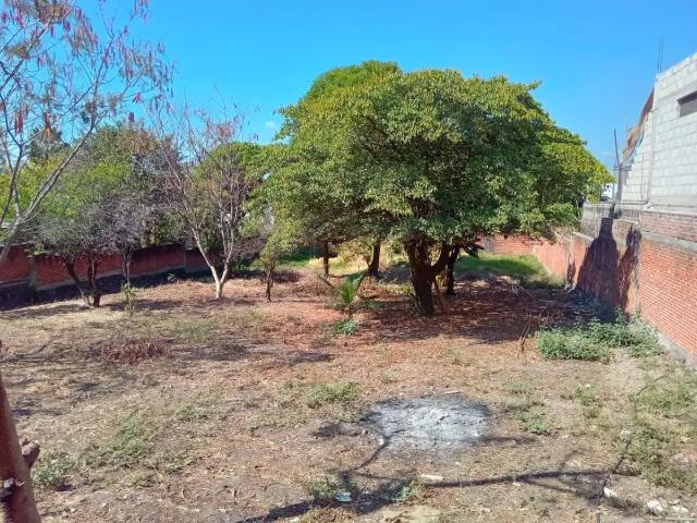 Terreno en Venta en Gabriel Tepepa, Cuautla, Morelos