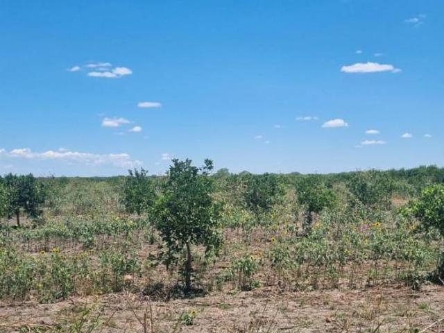 TERRENO EN VENTA EN GENERAL TERAN