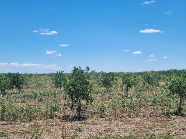 TERRENO EN VENTA EN GENERAL TERAN