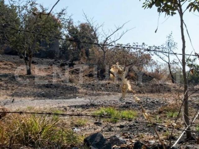 Terreno en Venta en Geranios 12 | La Rivera | Acatlipa | Cuernavaca – Taxco