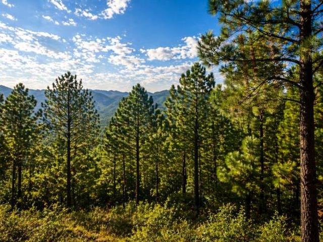 Terreno en Venta en Grand Mazamitla | Lote Premium| Localidad Pinos de Mazamitla