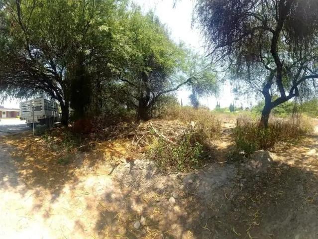 TERRENO EN VENTA EN GRANJA EL LUCERO, SAN LORENZO TEOTIPILCO, TEHUACAN PUEBLA