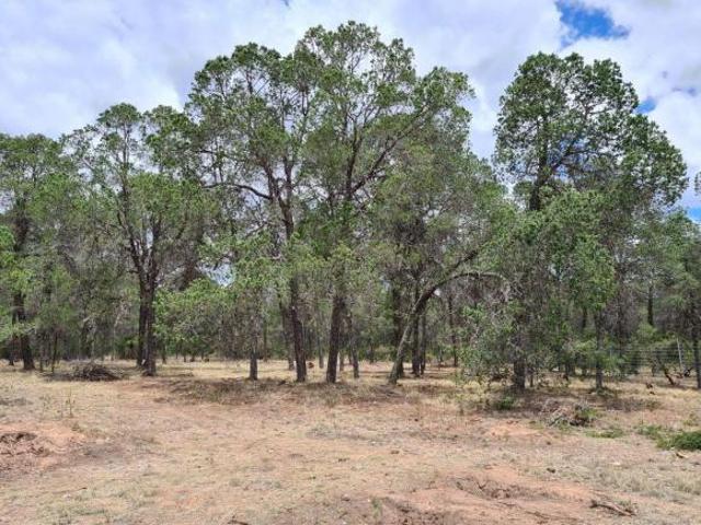 Terreno en Venta en Huachichil
