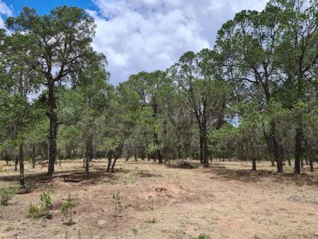 Terreno en Venta en Huachichil
