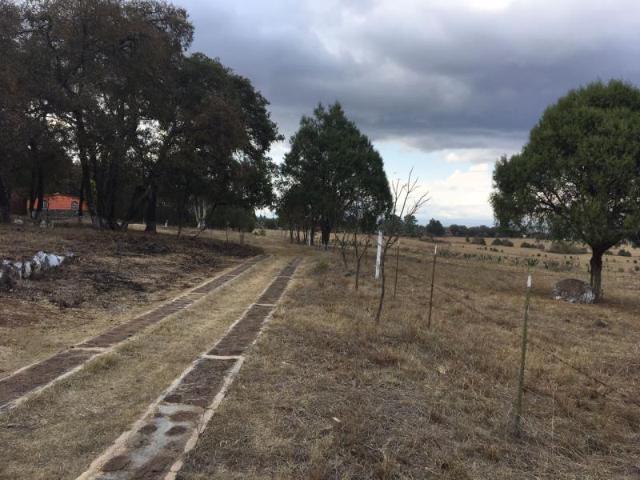 Terreno en venta en Huasca de Ocampo Centro, Huasca de Ocampo, Hidalgo