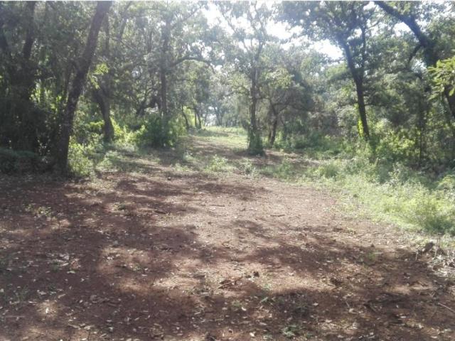 Terreno en venta en Huasca de Ocampo Centro, Huasca de Ocampo, Hidalgo