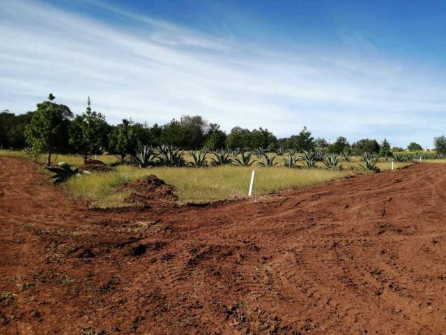 Terreno en venta en Huasca de Ocampo Centro, Huasca de Ocampo, Hidalgo