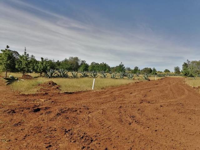 Terreno en venta en Huasca de Ocampo Centro, Huasca de Ocampo, Hidalgo