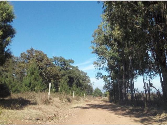 Terreno en venta en Huasca de Ocampo Centro, Huasca de Ocampo, Hidalgo
