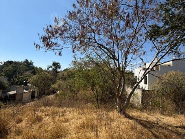 TERRENO EN VENTA EN HUAYAPAM, OAXACA