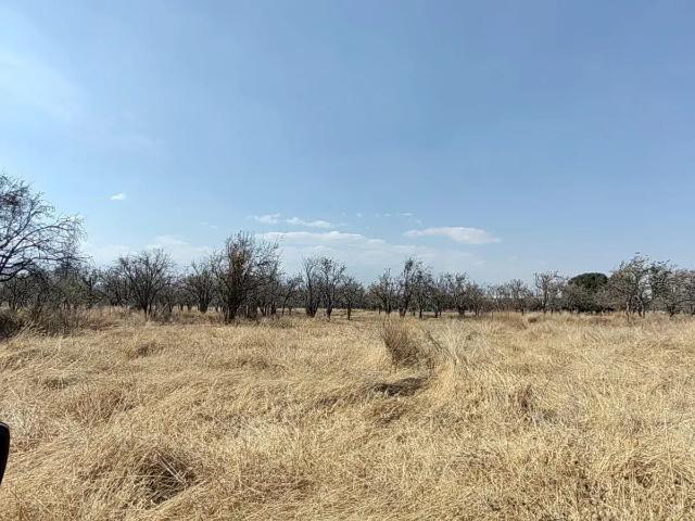 Terreno en venta en Huejotzingo Centro, Huejotzingo, Puebla