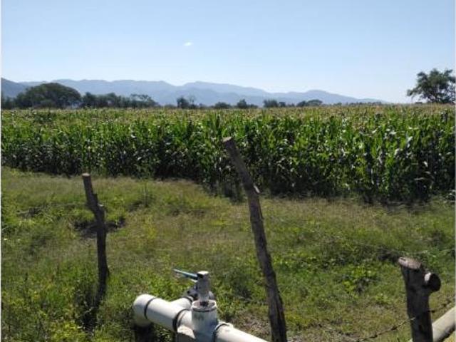 Terreno en venta en Hacienda el Alpuyeque, Colima, Colima